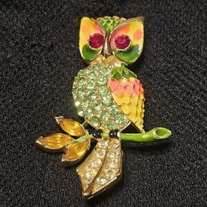 Stunning Multicolor Gemstone Owl Brooch